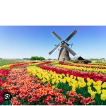 Dutch windmill