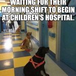 Therapy Dogs Waiting For Their Morning Shift To Begin At Children's Hospital | THERAPY DOGS WAITING FOR THEIR MORNING SHIFT TO BEGIN AT CHILDREN'S HOSPITAL. | image tagged in chris joines | made w/ Imgflip meme maker