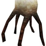 Xen fungus