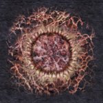 Xen trapoid