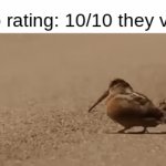 Birbs showing off some MOVES | Birb rating: 10/10 they vibin | image tagged in gifs,birb | made w/ Imgflip video-to-gif maker