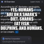 How Many Rocks Should I Eat | ARE HUMANS ON A SHARK’S DIET; YES, HUMANS ARE ON A SHARK’S DIET. SHARKS EAT FISH, DOLPHINS, AND HUMANS. Uhh, no it’s wrong! | image tagged in how many rocks should i eat,sharks,myth,wrong,google search meme | made w/ Imgflip meme maker