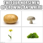 The 4 horsemen of | THE FOUR HORSEMEN OF GROWING ANYWHERE | image tagged in the 4 horsemen of | made w/ Imgflip meme maker