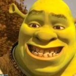 Sir shrek