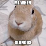 silly slungus silly | ME WHEN; SLUNGUS | image tagged in slungus | made w/ Imgflip meme maker