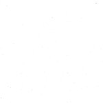 Blank
