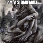 Alpha wolf | I AM. A SIGMA MALE | image tagged in alpha wolf | made w/ Imgflip meme maker