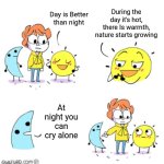 OwlTurd Day VS Night | Day is Better than night; During the day it's hot, there Is warmth, nature starts growing; At night you can cry alone | image tagged in owlturd day vs night | made w/ Imgflip meme maker