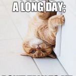 Long Day | I'VE HAD A LONG DAY; DON'T TALK TO ME. | image tagged in stuck cat,memes | made w/ Imgflip meme maker