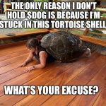 Grandma in a turtle | THE ONLY REASON I DON’T HOLD $DOG IS BECAUSE I’M STUCK IN THIS TORTOISE SHELL. WHAT’S YOUR EXCUSE? | image tagged in tortuela | made w/ Imgflip meme maker