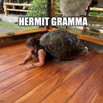 Tortuela | HERMIT GRAMMA | image tagged in tortuela | made w/ Imgflip meme maker