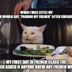 French words | WHEN I WAS LITTLE MY DAD WOULD SAY, "PARDON MY FRENCH" AFTER SWEARING. MY FIRST DAY IN FRENCH CLASS THE TEACHER ASKED IF ANYONE KNEW ANY FRENCH WORDS... | image tagged in smudge that darn cat | made w/ Imgflip meme maker