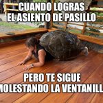 Tortuela | CUANDO LOGRAS EL ASIENTO DE PASILLO; PERO TE SIGUE MOLESTANDO LA VENTANILLA | image tagged in tortuela | made w/ Imgflip meme maker