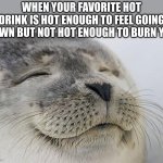 Satisfied Seal | WHEN YOUR FAVORITE HOT DRINK IS HOT ENOUGH TO FEEL GOING DOWN BUT NOT HOT ENOUGH TO BURN YOU | image tagged in memes,satisfied seal | made w/ Imgflip meme maker