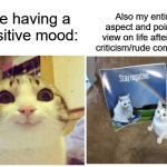 Me fr | Also my entire aspect and point of view on life after one criticism/rude comment:; Me having a positive mood: | image tagged in blank white template | made w/ Imgflip meme maker