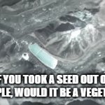 what? | IF YOU TOOK A SEED OUT OF AN APPLE, WOULD IT BE A VEGETABLE? | image tagged in gifs,confused | made w/ Imgflip video-to-gif maker