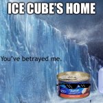 TUNA WHO LET YOU IN THE ICE WALL | ICE CUBE’S HOME; You’ve betrayed me. | image tagged in ice wall,tuna get back into your room rn | made w/ Imgflip meme maker