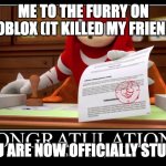 Meme approved Knuckles | ME TO THE FURRY ON ROBLOX (IT KILLED MY FRIEND); YOU ARE NOW OFFICIALLY STUPID | made w/ Imgflip meme maker