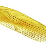 Roach wings