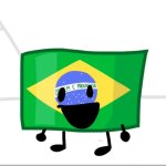 Brazil Flag smiled