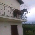 Horse on balcony