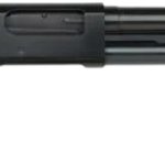 Mossberg 500 (pistol-grip and foldable stock)