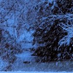 Snow. 1/2