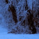 Snow. 2/2