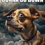 Worried Dog | SHIT'S GONNA GO DOWN | image tagged in worried dog,modern problems,danger,worry,nervous | made w/ Imgflip meme maker