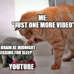 sleep deprivation is real | ME:
 "JUST ONE MORE VIDEO"; MY BRAIN AT MIDNIGHT BEGGING FOR SLEEP; YOUTUBE | image tagged in force feed cat,funny,memes | made w/ Imgflip meme maker