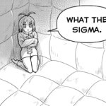 What the sigma