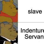 Tuxedo Winnie The Pooh | slave; Indentured Servant | image tagged in memes,tuxedo winnie the pooh | made w/ Imgflip meme maker