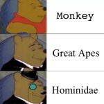 Monkeys, am I right? | Monkey; Great Apes; Hominidae | image tagged in fancy pooh,monkey,science | made w/ Imgflip meme maker