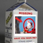 Mike the Mouse meme | UNIVERSAL AT  214.476.0088 | image tagged in milk carton,mouse,illumination,universal studios | made w/ Imgflip meme maker