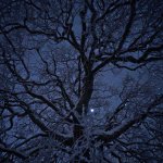 Winter.