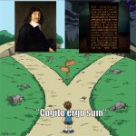 Two Paths | "Cogito ergo sum" | image tagged in two paths | made w/ Imgflip meme maker