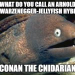 Bad Joke Eel Meme | WHAT DO YOU CALL AN ARNOLD SCHWARZENEGGER-JELLYFISH HYBRID? CONAN THE CNIDARIAN | image tagged in memes,bad joke eel,jellyfish,arnold schwarzenegger | made w/ Imgflip meme maker