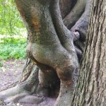 Look, it's your favorite position!