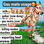 gau mata usage india hindu cow goddess sanatan funny meme