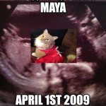 Maya ultrasound | MAYA; APRIL 1ST 2009 | image tagged in fetus cat ultrasound | made w/ Imgflip meme maker