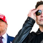 Trump Musk