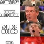 Mr. McMahon reaction | YOU GET BACK FROM A LONG DAY; YOU HAVE A COLD SHOWER; YOU HOP INTO BED; THERE'S DISTANCE THUNDER PLUS RAIN | image tagged in mr mcmahon reaction | made w/ Imgflip meme maker