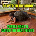 Need to find my passport | CRYPTO TO THE MOON; TURTLE NAH I’LL CATCH THE NEXT FLIGHT | image tagged in tortuela,crypto,jailbreak,moonbois,galapagos,wtf | made w/ Imgflip meme maker