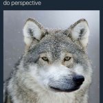 can topeesetev | image tagged in can topeesetev | made w/ Imgflip meme maker