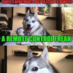 Bad Pun Dog | WHAT KINDA BURGLAR BREAKS INTO PEOPLE'S APARTMENTS JUST TO STEAL TV REMOTES; A REMOTE CONTROL FREAK | image tagged in memes,bad pun dog,puns | made w/ Imgflip meme maker