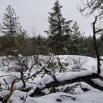 Winter's Day.