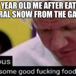 A 5 star meal in my opinion | 10 YEAR OLD ME AFTER EATING LITERAL SNOW FROM THE GARDEN | image tagged in gordon ramsay some good food,childhood,snow | made w/ Imgflip meme maker