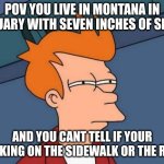 Futurama Fry | POV YOU LIVE IN MONTANA IN JANUARY WITH SEVEN INCHES OF SNOW; AND YOU CANT TELL IF YOUR WALKING ON THE SIDEWALK OR THE ROAD | image tagged in memes,futurama fry,snow | made w/ Imgflip meme maker