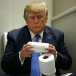 Donald Trump toilet Constitution