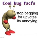 Cool Bug Facts | stop begging for upvotes its annoying | image tagged in cool bug facts | made w/ Imgflip meme maker